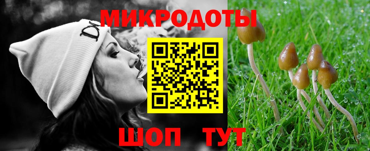 Галлюциногенные грибы мухоморы  что такое наркотик  Гатчина  Вход с VPN 