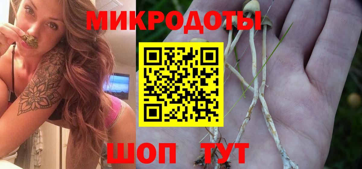Галлюциногенные грибы мицелий Гатчина