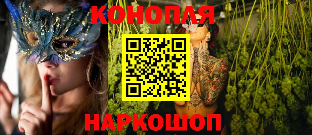 Конопля SATIVA & INDICA  Гатчина  МАРИХУАНА планчик  Бошки марихуана сатива 